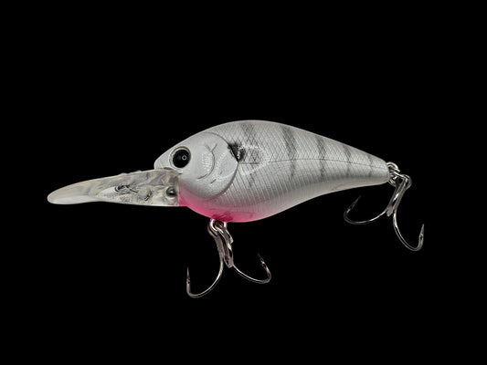 1.5 Medium Diver Pearl Perch