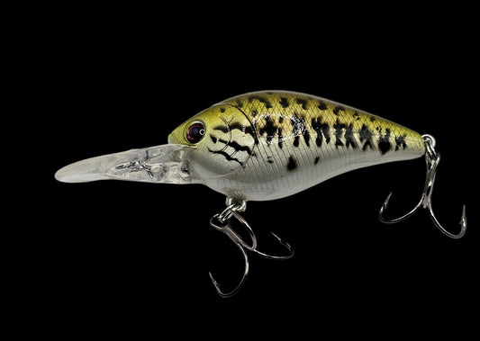 1.5 Medium Diver Baby Bass