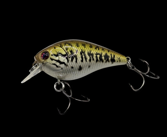 1.5 Baby Bass Square Bill