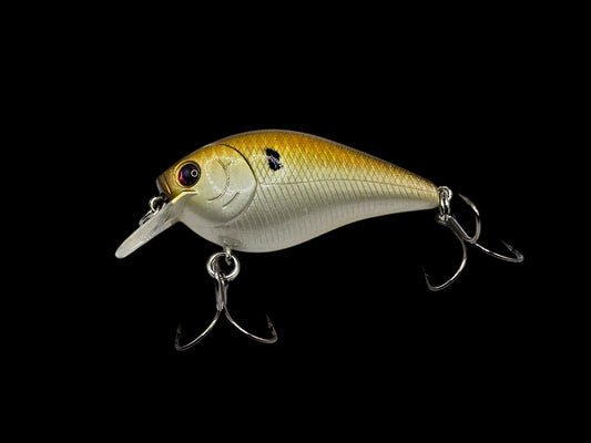 1.5 Golden Shad Square Bill
