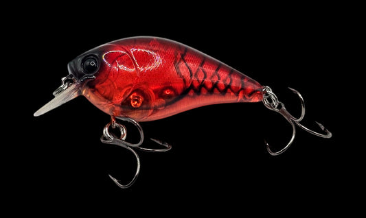 1.5 Square Bill Blood Craw Transparent