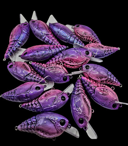 2.5 Resi-Craw Morning Dawn