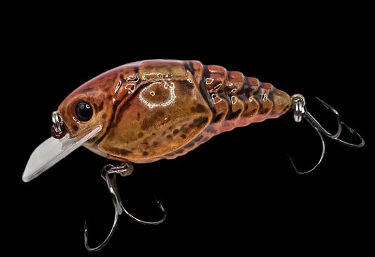 2.5 Resi-Craw Natty