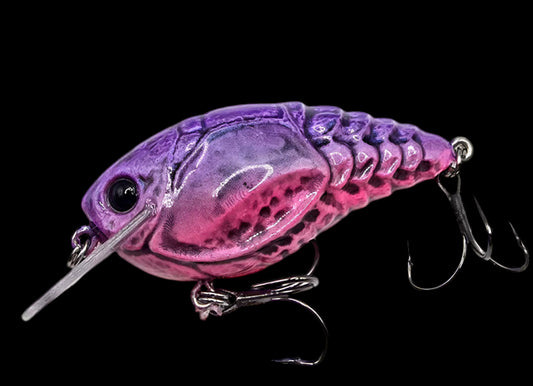 1.5 RESI-CRAW Morning Dawn